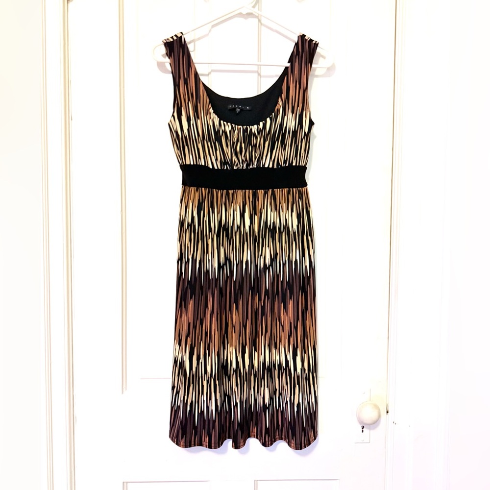 Tiana B. Sleeveless Empire Waist Scoop Neck Vertical Abstract Print Mini Dress S